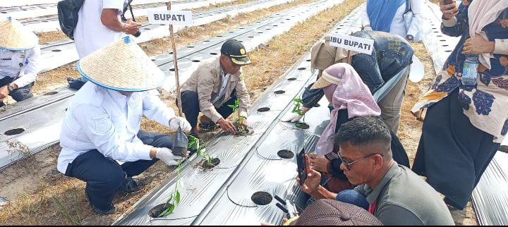 WhatsApp Image 2026-02-12 at 14.23.32(1)